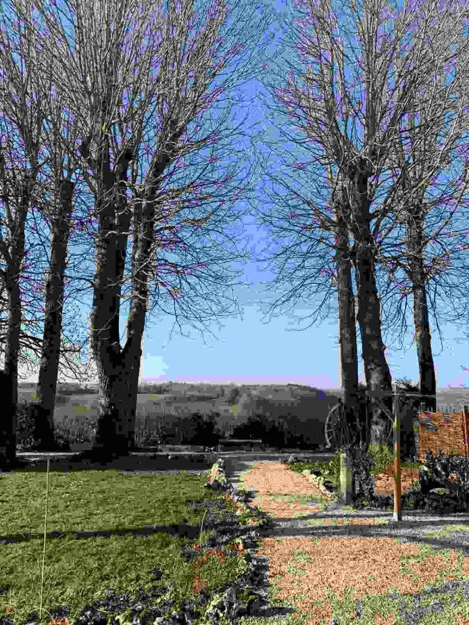 La Flavignienne Bed and Breakfast Flavigny-sur-Ozerain Eksteriør billede